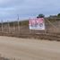  Land for sale in El Quisco, Valparaiso, El Quisco, San Antonio, Valparaiso
