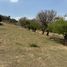  Land for sale in Totolapan, Morelos, Totolapan