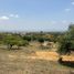  Land for sale in Totolapan, Morelos, Totolapan
