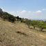  Land for sale in Totolapan, Morelos, Totolapan