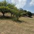  Land for sale in Totolapan, Morelos, Totolapan