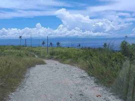  Terreno (Parcela) en venta en Bicol, Mercedes, Camarines Norte, Bicol