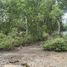  Land for sale in Cebu Central Visayas, Tabuelan