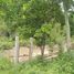  Land for sale in Cebu Central Visayas, Tabuelan