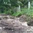  Land for sale in Cebu Central Visayas, Tabuelan