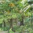  Land for sale in Cebu Central Visayas, Tabuelan