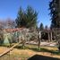  Villa for sale in Santiago, San Bernardo, Maipo, Santiago