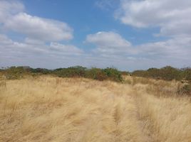  Terreno (Parcela) en venta en Sullana, Piura, Sullana, Sullana