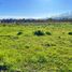  Land for sale in Chile, Chillan, Diguillin, Nuble, Chile