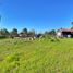  Land for sale in Chile, Chillan, Diguillin, Nuble, Chile
