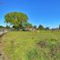  Land for sale in Chile, Chillan, Diguillin, Nuble, Chile
