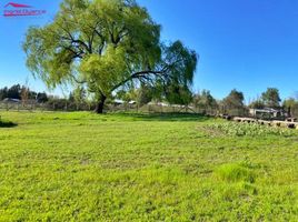  Land for sale in Chile, Chillan, Diguillin, Nuble, Chile