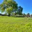  Land for sale in Chillan, Nuble, Chillan, Diguillin