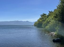  Land for sale in Chile, Pucon, Cautin, Araucania, Chile