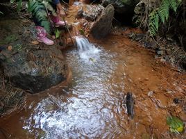  Terreno (Parcela) en venta en Supata, Cundinamarca, Supata