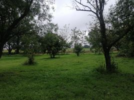 Terrain à vendre à Tlajomulco De Zuniga, Jalisco, Tlajomulco De Zuniga