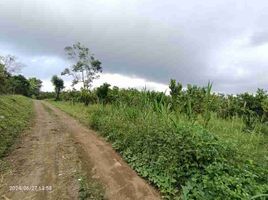  Terrain for sale in Bangli, Bali, Kintamani, Bangli