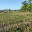  Land for sale in Alicia, Bohol, Alicia