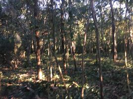  Terreno (Parcela) en venta en Lazaro Cardenas, Quintana Roo, Lazaro Cardenas