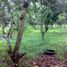  Land for rent in Santa Cruz, Calabarzon, Santa Cruz