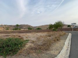  Land for sale in Manabi, Manta, Manta, Manabi