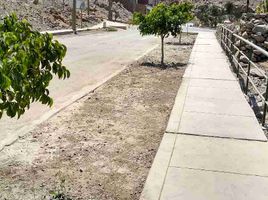  Terreno (Parcela) en venta en Lurigancho, Lima, Lurigancho