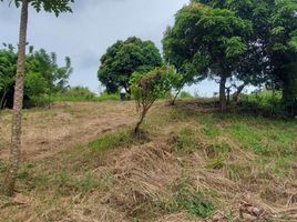  Land for sale in Silang, Cavite, Silang