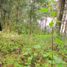  Land for sale in Mineral Del Chico, Hidalgo, Mineral Del Chico