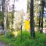  Land for sale in Mineral Del Chico, Hidalgo, Mineral Del Chico