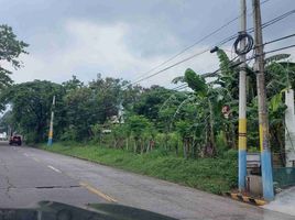  Terreno (Parcela) en venta en Muntinlupa City, Metro Manila, Muntinlupa City, Southern District, Metro Manila
