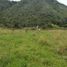  Villa for sale in Concepcion, Antioquia, Concepcion