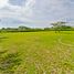  Land for sale in Palmira, Valle Del Cauca, Palmira