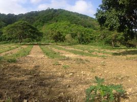  Land for sale in Manabi, San Vicente, San Vicente, Manabi