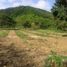  Land for sale in San Vicente Manabi, San Vicente, San Vicente