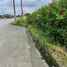  Grundstück zu verkaufen in Santo Domingo De Los Colorados, Santo Domingo De Los Tsachilas, Santo Domingo De Los Colorados, Santo Domingo, Santo Domingo De Los Tsachilas