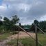  Land for sale in Anda, Ilocos, Anda