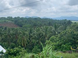  Land for sale in Alfonso, Calabarzon, Alfonso