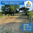  Land for sale in Acacias, Meta, Acacias