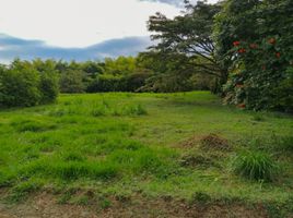  Land for sale in Jamundi, Valle Del Cauca, Jamundi