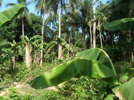  Grundstück zu verkaufen in Cavite, Calabarzon, General Trias City