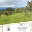 4 Bedroom Villa for sale in Moniquira, Boyaca, Moniquira, Boyaca