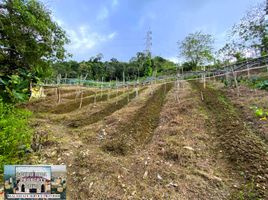  Terreno (Parcela) en venta en Cebu City, Central Visayas, Cebu City, Cebu, Central Visayas, Filipinas