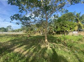  Grundstück zu verkaufen in Iloilo, Western Visayas, Cabatuan