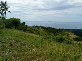  Land for sale in San Fernando, Cebu, San Fernando