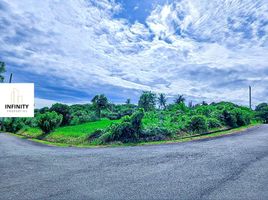  Land for sale in Tanauan City, Batangas, Tanauan City