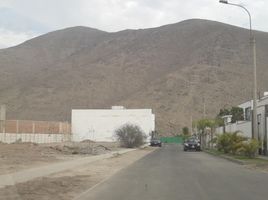  Grundstück zu verkaufen in La Molina, Lima, La Molina, Lima, Lima, Peru