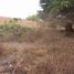  Land for sale in Carabayllo, Lima, Carabayllo, Lima, Lima