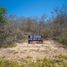  Land for sale in El Rosario, Sinaloa, El Rosario, Sinaloa
