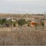  Land for sale in Silao, Guanajuato, Silao