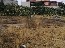  Terreno (Parcela) en venta en San Agustin Tlaxiaca, Hidalgo, San Agustin Tlaxiaca